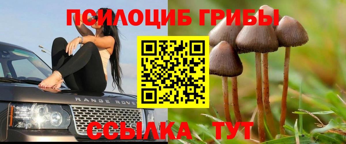 Псилоцибиновые грибы мицелий  Вход с VPN  Апатиты 